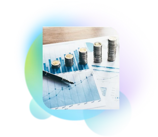 Financial Liaising